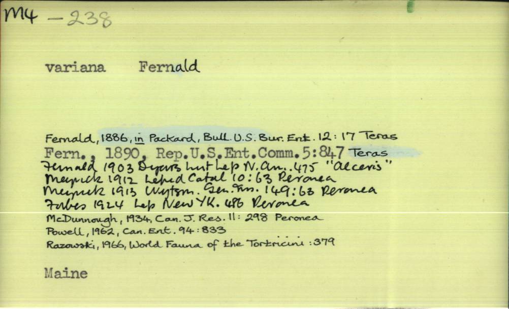 front of card